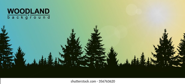 Vector  landscape. Silhouette of coniferous trees on the background of colorful sky with sun. Eps 10.