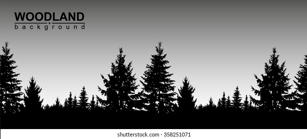 Vector landscape. Silhouette of coniferous trees on the background of grey sky.