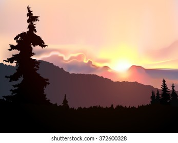 Vector landscape. Silhouette of coniferous trees on the background of mountains and colorful sky. Sunset. Eps 10.