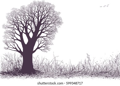 Vector landscape silhouette with oak tree in the meadow isolated on white background. The tree silhouette is on separate layer
