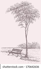 Vector landscape. Sketch the bench in a park near a tall tree 