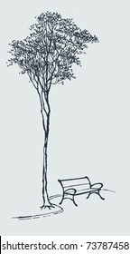 Vector Landscape. Sketch The Bench In A Park Near A Tall Tree