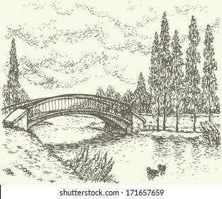 Vector landscape. Sketch of a quiet corner of the park with a bridge over river and poplars along the road 