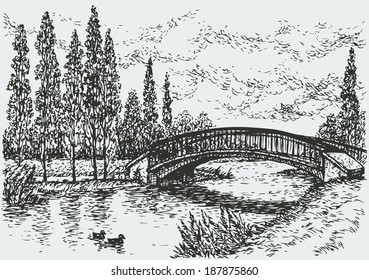 Vector landscape. Sketch of a quiet corner of the park with a bridge over river and poplars along the road 