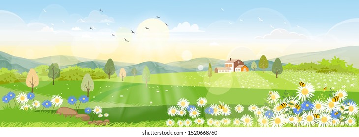 Vector landscape of Spring field with farmhouse, wild flowers and family bee flying, Panorama view in the summer with honey bee collecting pollen on flowers with morning sunlight, 