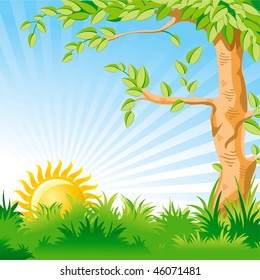 Vector landscape with a Sunrise and large tree in the foreground