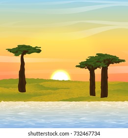 Vector landscape.  Sunset or dawn. Baobabs on shore of the lake. Africa. Meadows, lake, trees