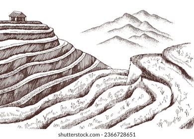 Vector landscape of terraced rice fields