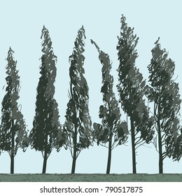 Vector landscape with trees in a field on blue sky background. Seamless pattern of trees with leaves. Drawing pencil sketches of trees