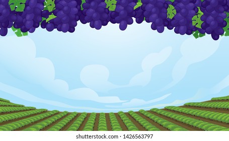 Vector landscape of vineyard with grapevine and blue sky background.