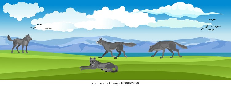 Vector landscape, wolves pack on the nature, blue sky and clouds