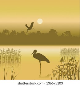 Vector landscape of yellow colour with two birds and reflexion in water