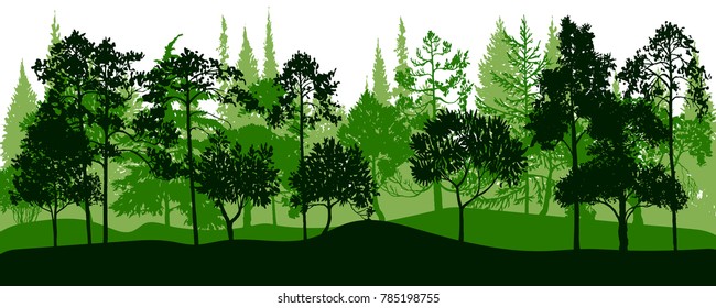 vector landscapes with pine and fir trees, abstract nature background, forest template, hand drawn illustration