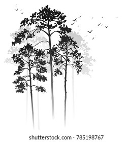 vector landscapes with pine trees and birds, abstract nature background, forest template, hand drawn illustration