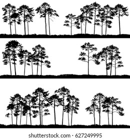 vector landscapes with pine trees and grass, abstract nature background, forest template, hand drawn illustration