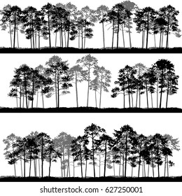 vector landscapes with pine trees and grass, abstract nature background, forest template, hand drawn illustration