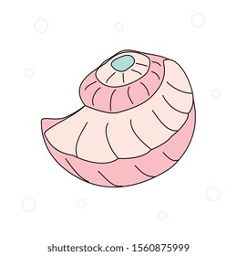 Vector large beautiful sea shell
