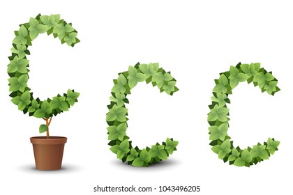 vector large green tree grows from a flowerpot. concept of spring and summer, harvest and ascent. topiary