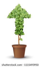 vector large green tree grows from a flowerpot. concept of spring and summer, harvest and ascent. figured haircut of trees and bushes