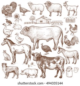 Vector Large Set Farm Theme Animals Stock Vector (Royalty Free) 494335144 |  Shutterstock