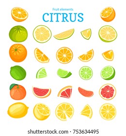 Vector large set of ripe tropical fruits. Red oranges, pomelo, grapefruit, lime, lemon and leaf. Collection of delicious citrus fruits designer elements for packaging of juice breakfast health food