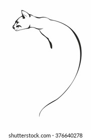 Vector of large strong cat. A wild animal is look like a puma, lioness. An image is isolated on a white background