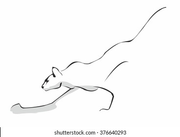 Vector of large strong cat. A wild animal is look like a puma, lioness. An image is isolated on a white background