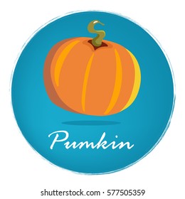  Vector large yellow pumpkin on a blue background