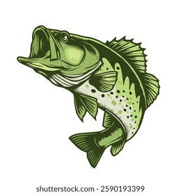 Vector of largemouth bass fish, suitable for fishing theme design.Illustration of a bass fish jumping done in cartoon style on isolated white background.