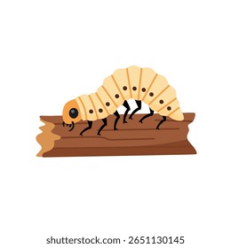 Vetor de uma larva rastejando em um galho de madeira. Representa o segundo estágio do ciclo de vida de um inseto. Adequado para biologia, aulas de ciências e material educacional