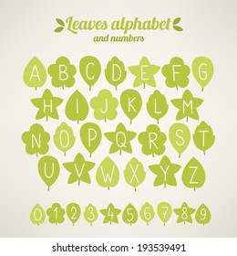 Vector latin leaves alphabet
