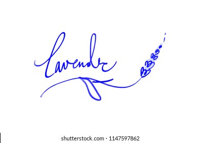 Vector lavender branches and inscription. Elements for design and other. Vector Illustration, clipart. Isolated on white background.