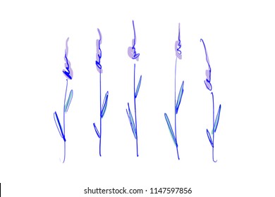 Vector lavender branches set. Elements for design and other. Vector Illustration, clipart. Isolated on white background.