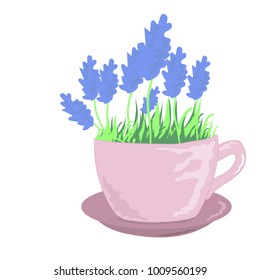 Vector lavender in a cup. Pink flowerpot.