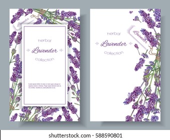 Vector lavender flower banners on white. Design for natural cosmetics, beauty store, health care products, perfume, essential oil, aromatherapy. Can be used as greeting card or wedding invitation