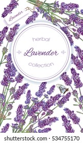 Vector lavender flower frame on white background. Design for natural cosmetic, health care products, perfume. Can be used as greeting card or wedding invitation.