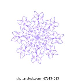 Vector lavender flower on white background. Design for natural cosmetic, health care products, perfume. Can be used as greeting card or wedding invitations
