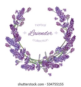 Vector lavender flower round  frame on white background. Design for natural cosmetic, health care products, perfume. Can be used as greeting card or wedding invitation.