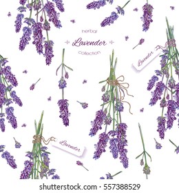 Vector lavender flower seamless pattern. Background design for natural cosmetics, beauty store, health care products, perfume, essential oil. Can be used as wedding background. Best for wrapping paper