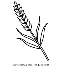 Vector of Lavender Flower Spike - Purple Floral Illustration, Botanical Nature Design, Lavender Blossom, Nature Vector Art, Aromatic Plant