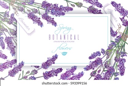 Vector lavender flowers banner on white. Design for natural cosmetics, beauty store, health care products, perfume, essential oil, aromatherapy. Can be used as greeting card or wedding invitation