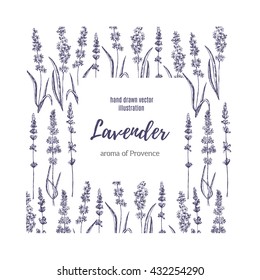 Vector lavender hand drawn illustration.Hand drawn lavender frame.Healing and cosmetics herb.Medical plant. Great for traditional medicine design. Great design for natural and organic products.