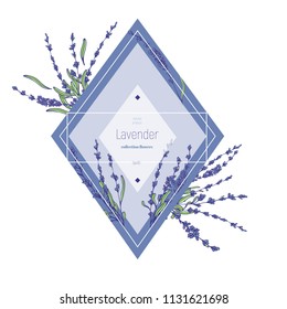 Vector lavender hand drawn label.Lavender flowers.Healing and cosmetics herb.Medical plant. Great for traditional medicine design. Great design for natural and organic products.