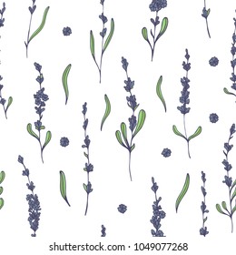 Vector lavender hand drawn seamless pattern.Lavender flowers.Healing and cosmetics herb.Medical plant. Great for traditional medicine design. Great design for natural and organic products.