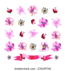 vector lavender ornaments with painted flowers, seeds and ribbon