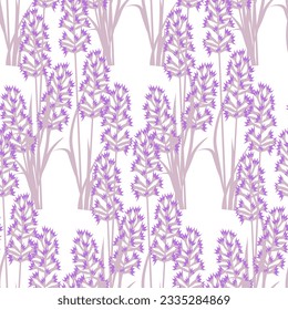 Vector - Lavender plant with leaves seamless pattern, floral illustration.