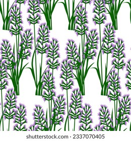 Vector - Planta de lavanda con hojas sin soldadura, ilustración floral.