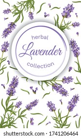 Vector lavender vertical banner. Design for packaging, advertising booklet, cosmetics, store, natural, organic, health care products, aromatherapy. Wedding invitation or greeting card.