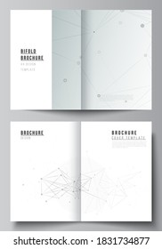 Vector layout of two A4 cover mockups templates for bifold brochure, flyer, magazine, cover design, book design. Gray technology background with connecting lines and dots. Network concept.