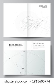 Vector layout of two A4 cover mockups templates for bifold brochure, flyer, magazine, cover design, book design. Gray technology background with connecting lines and dots. Network concept.